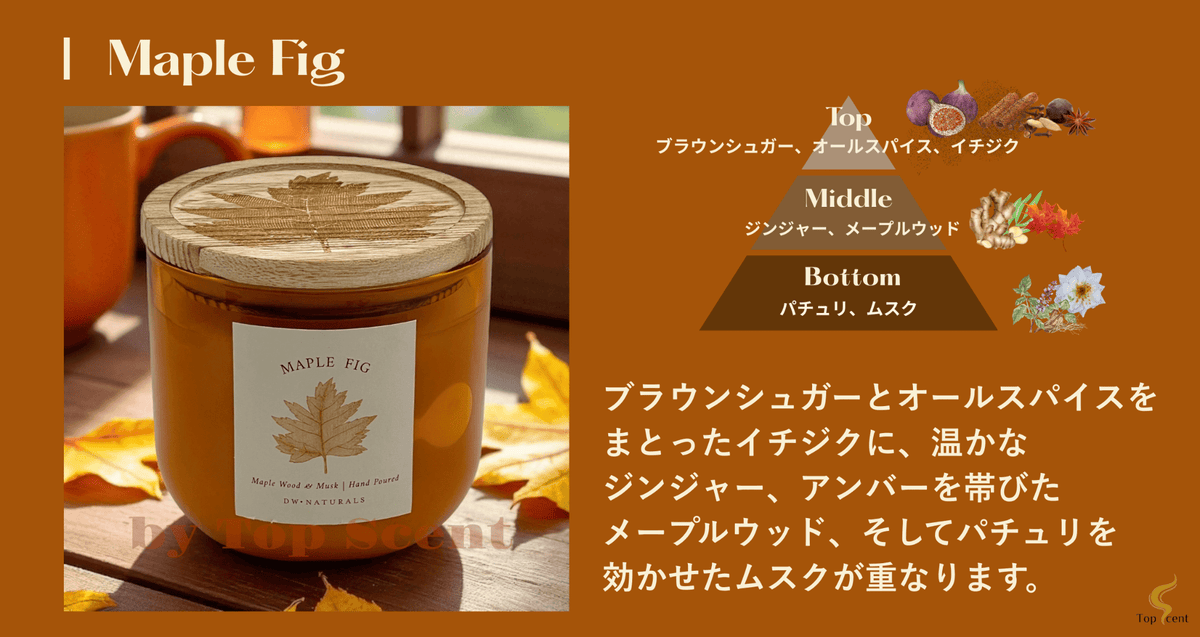 Maple Fig
