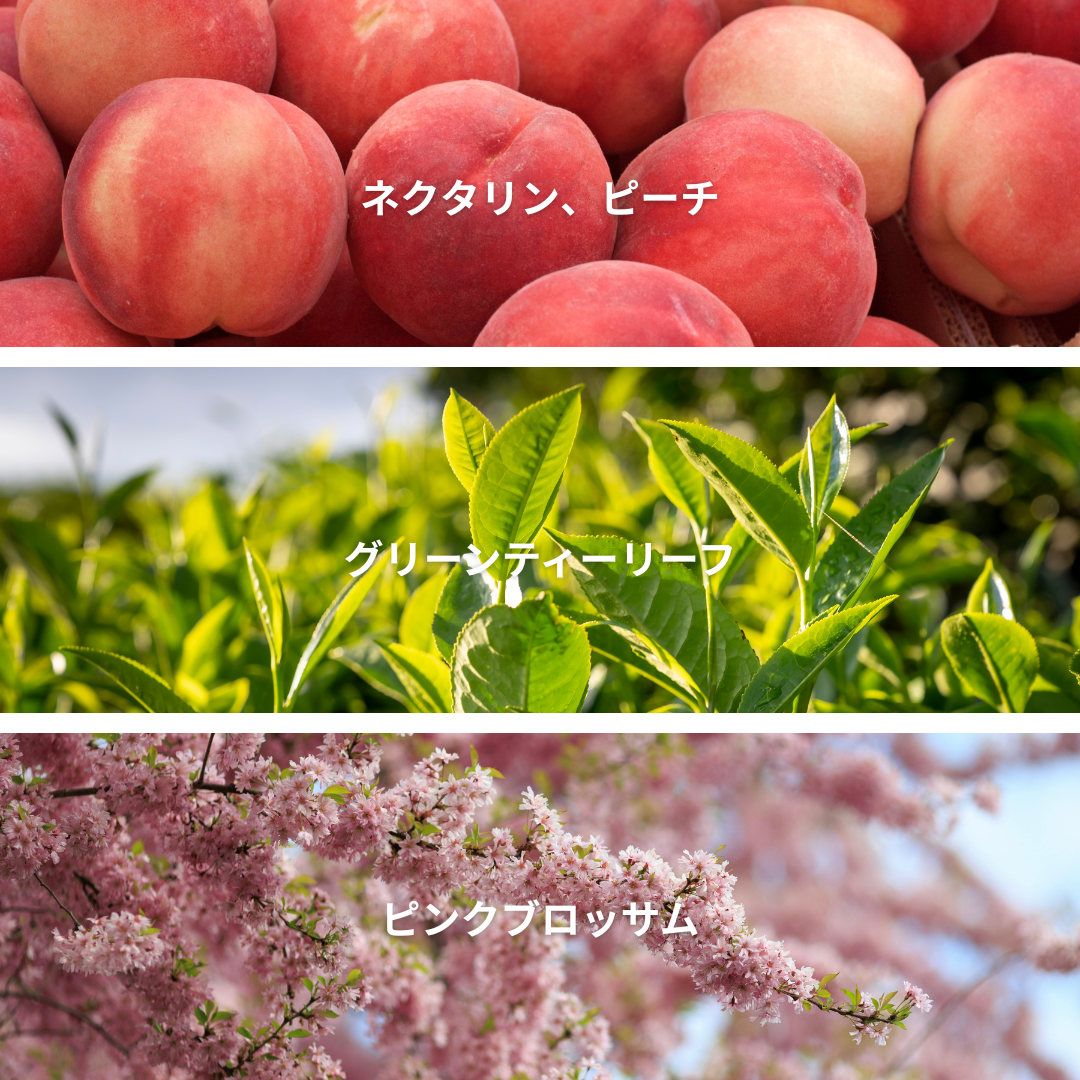 Peach Blossom