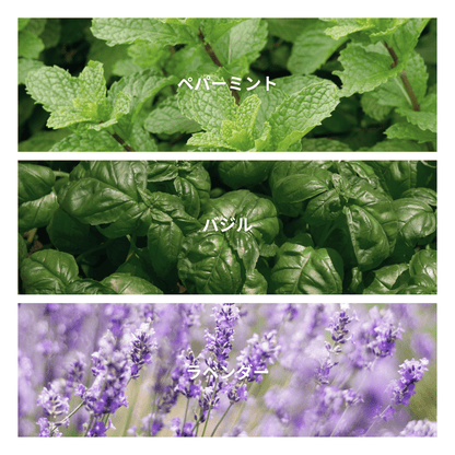 Garden Basil