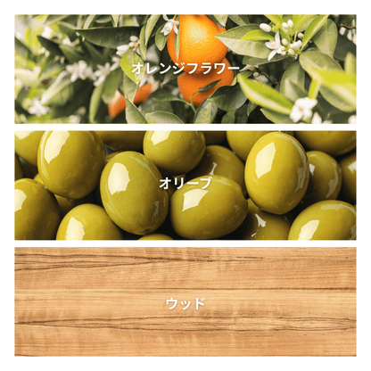 Olive Branch