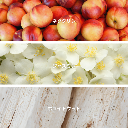 Jasmine Nectarine