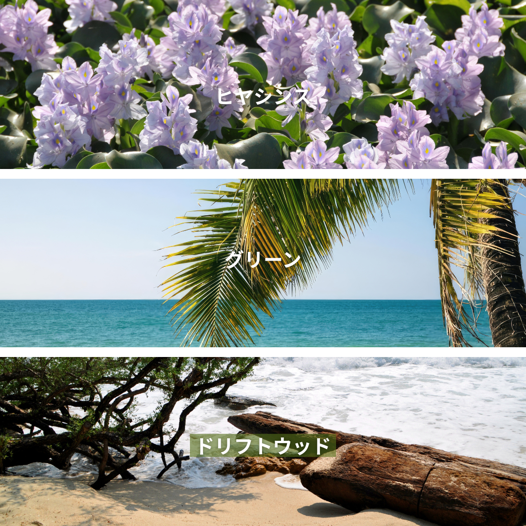 Hyacinth Sea Salt