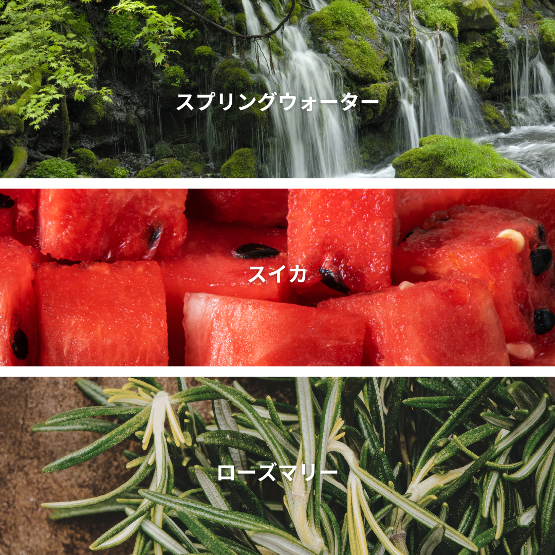 Rosemary Watermelon