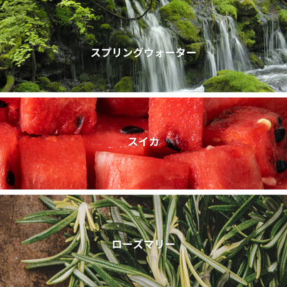 Rosemary Watermelon