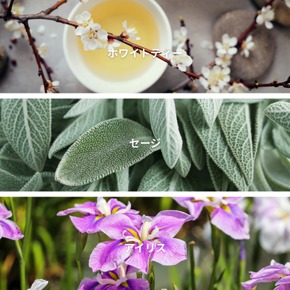 White Tea & Iris