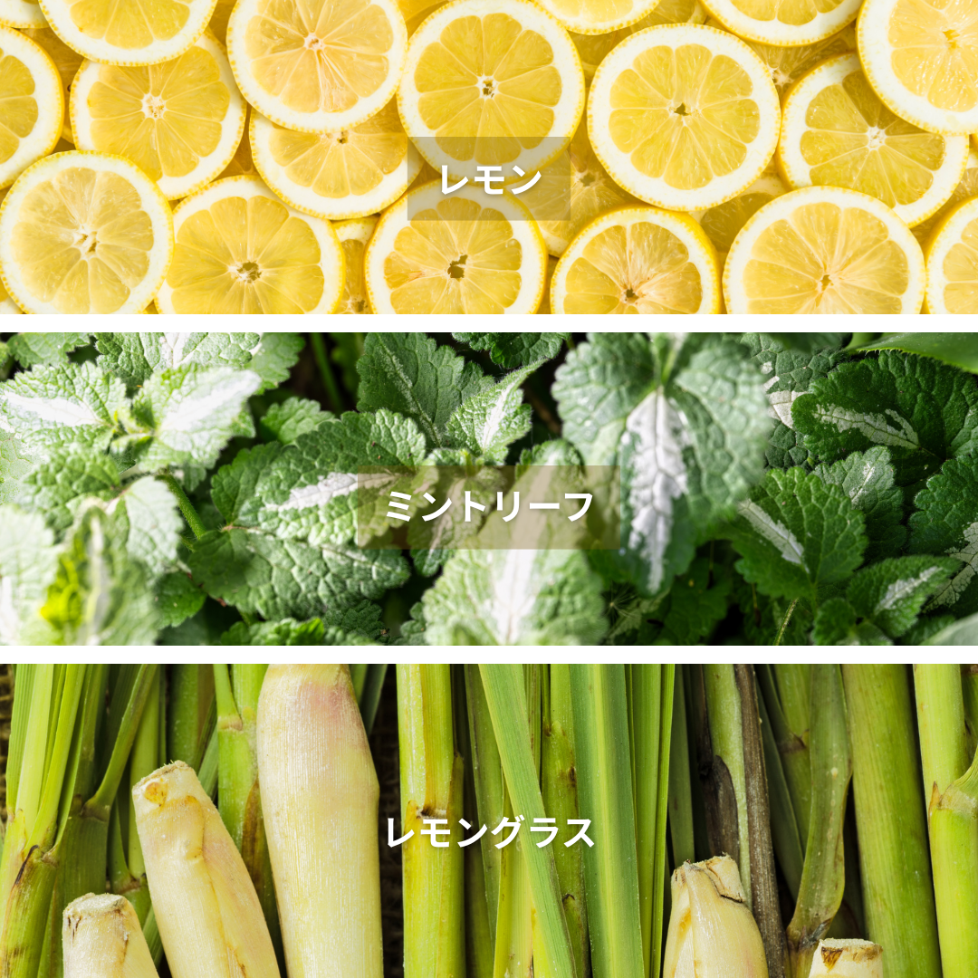 Lemongrass & Mint