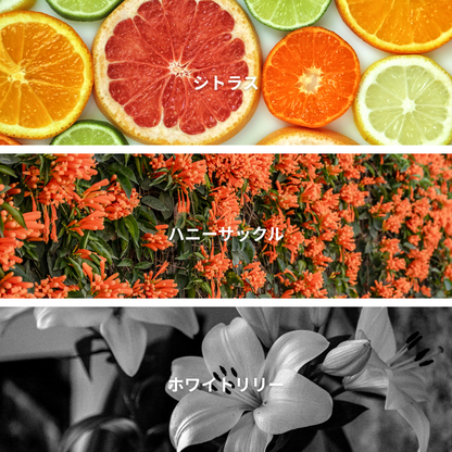 Honeysuckle & Citrus