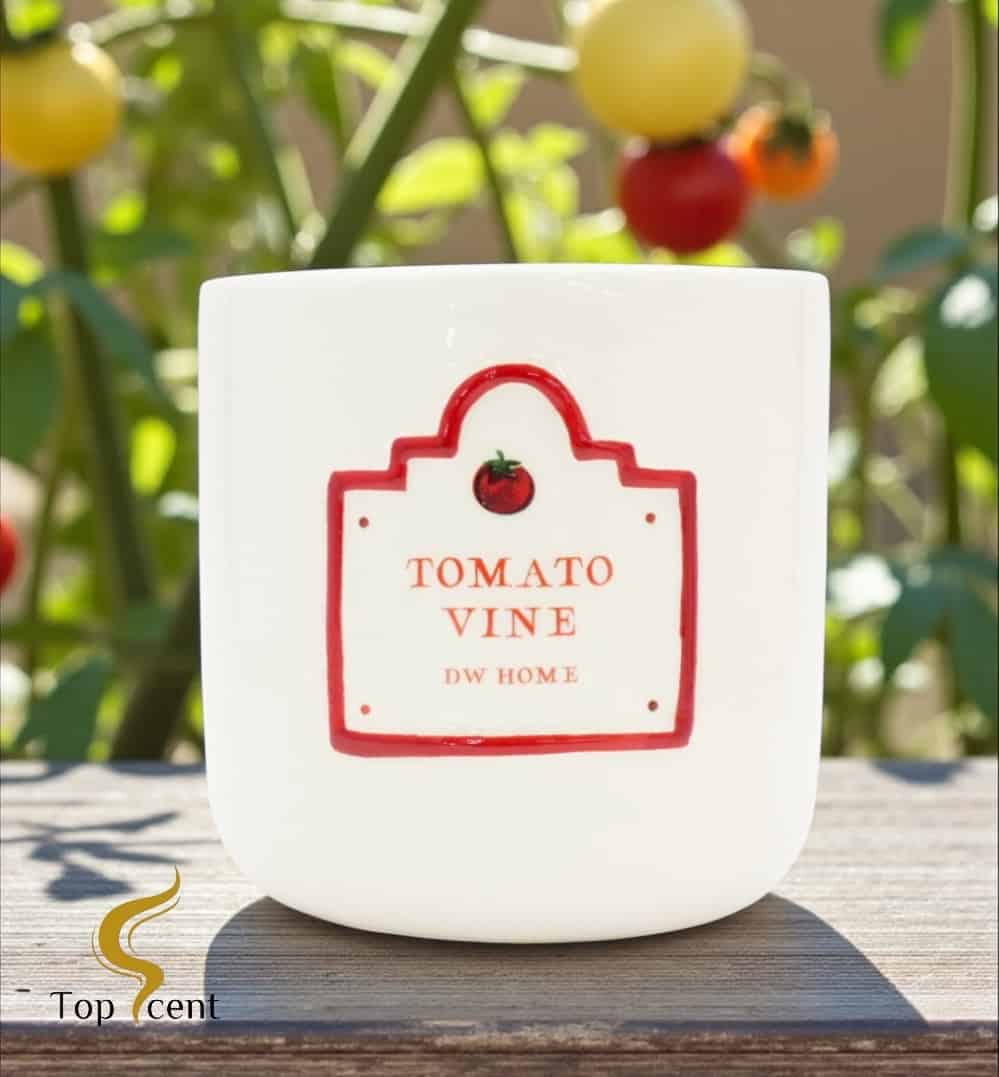 Tomato Vine