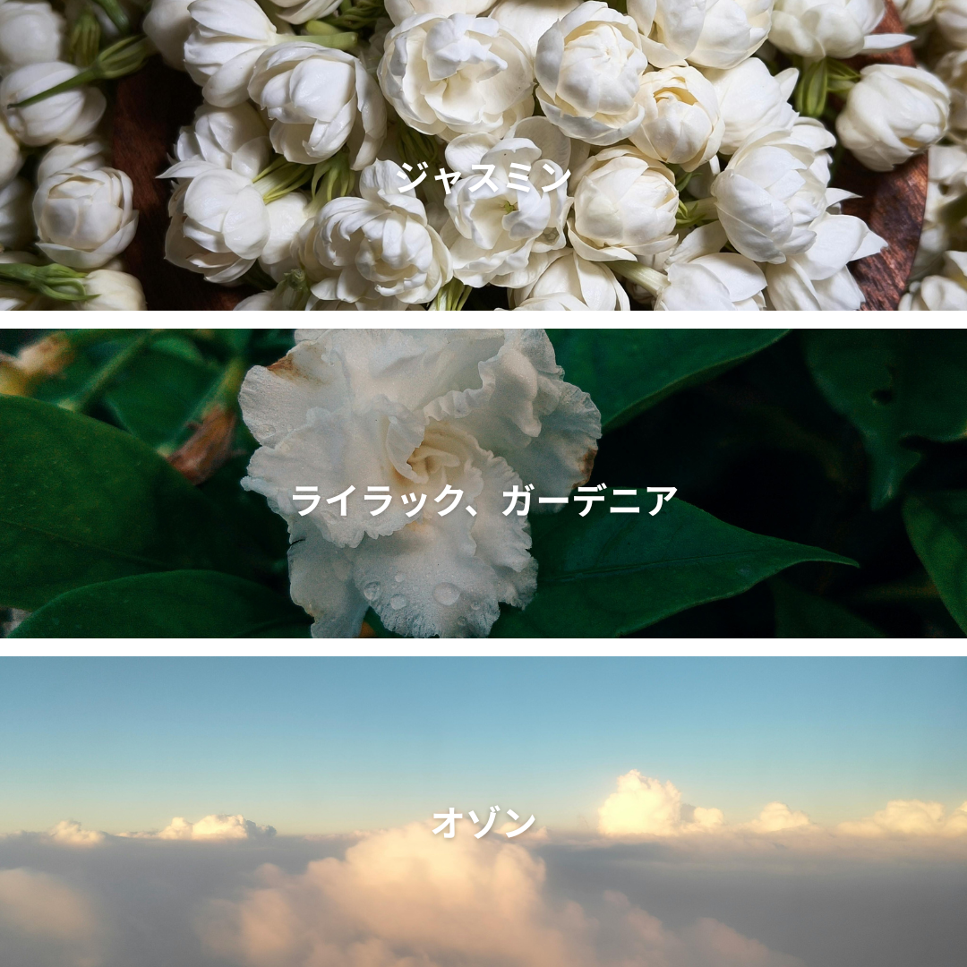 Sea Breeze