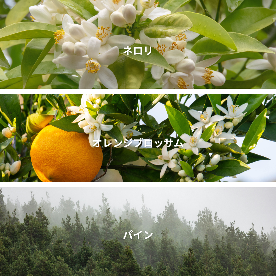 Neroli Blossom Pine
