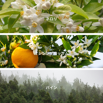 Neroli Blossom Pine