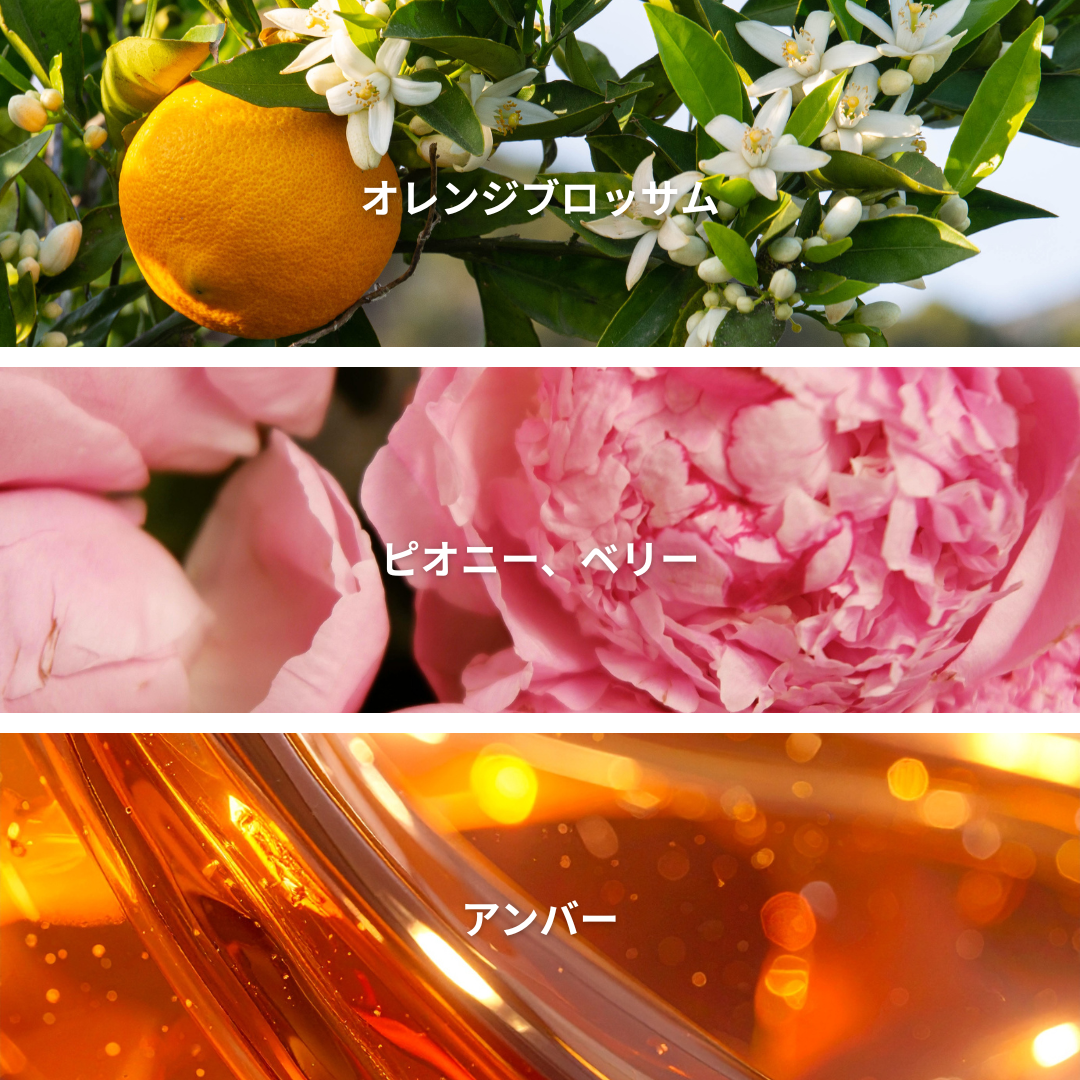 Citrus Lemon
