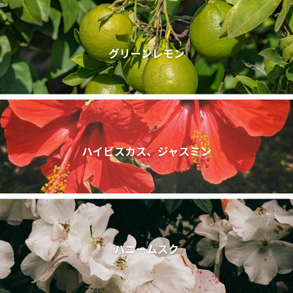 Sparkling Hibiscus Lemonande