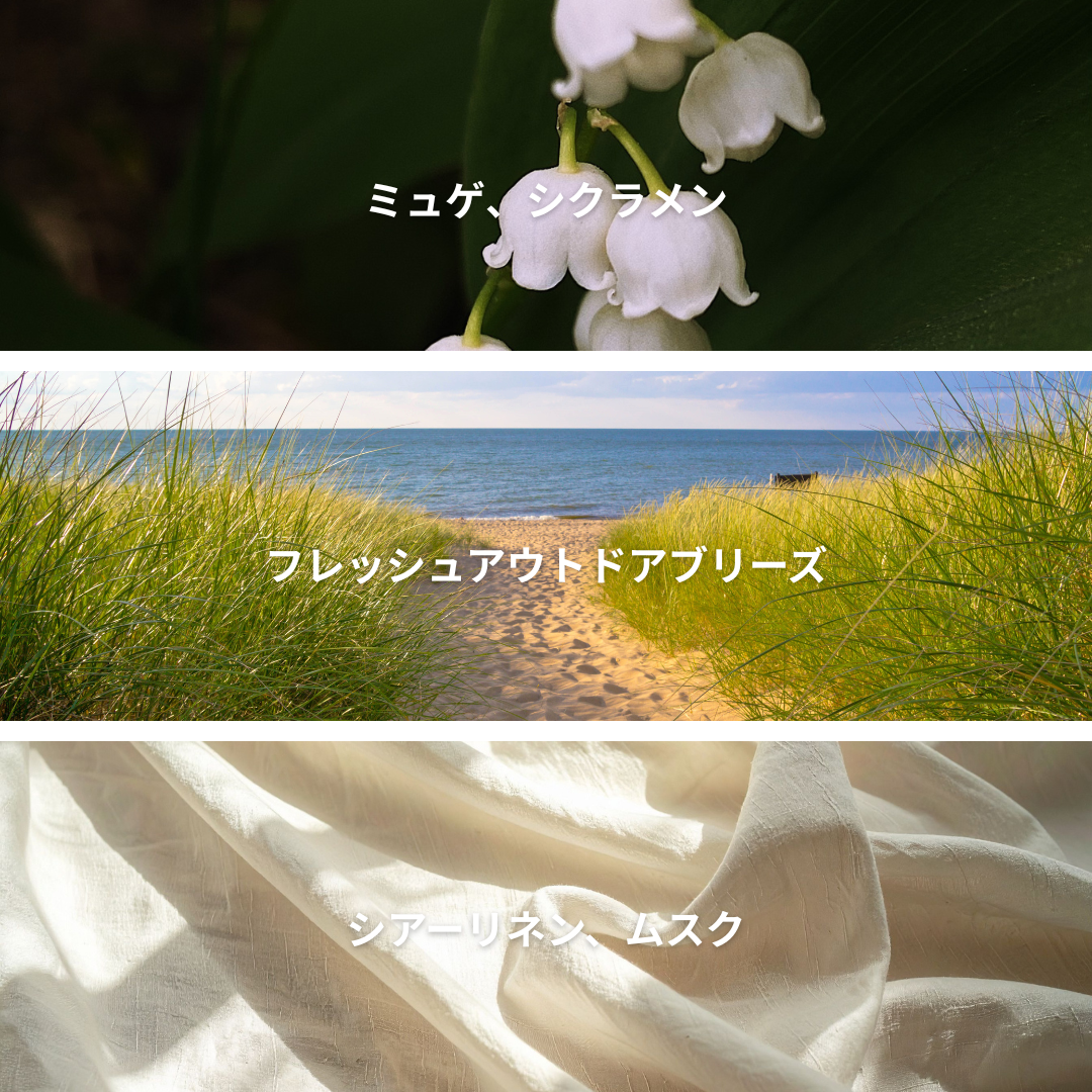 Sunshine & Linen
