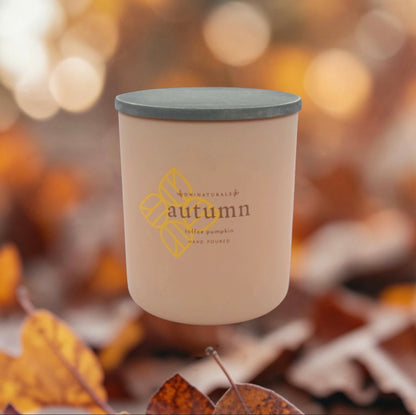 Autumn | Toffee Pumpkin
