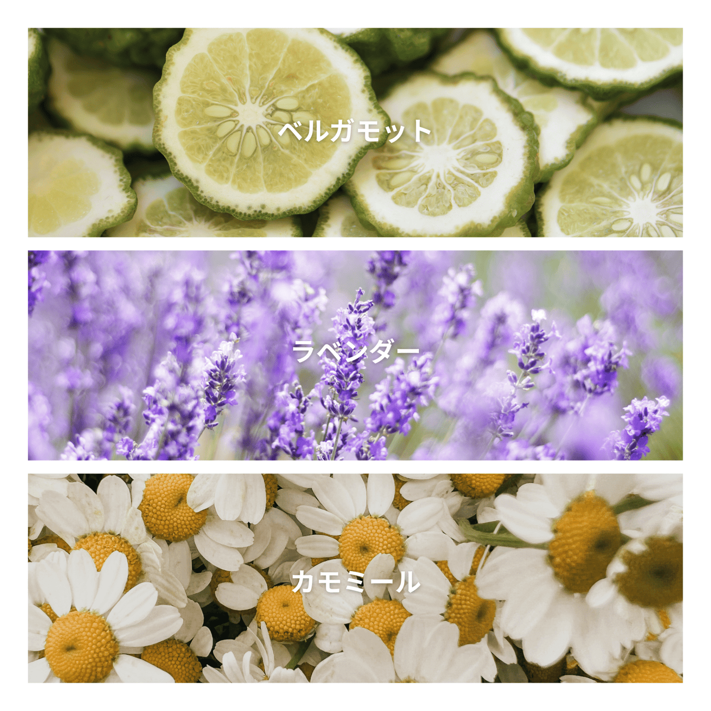 Lavender Chamomile