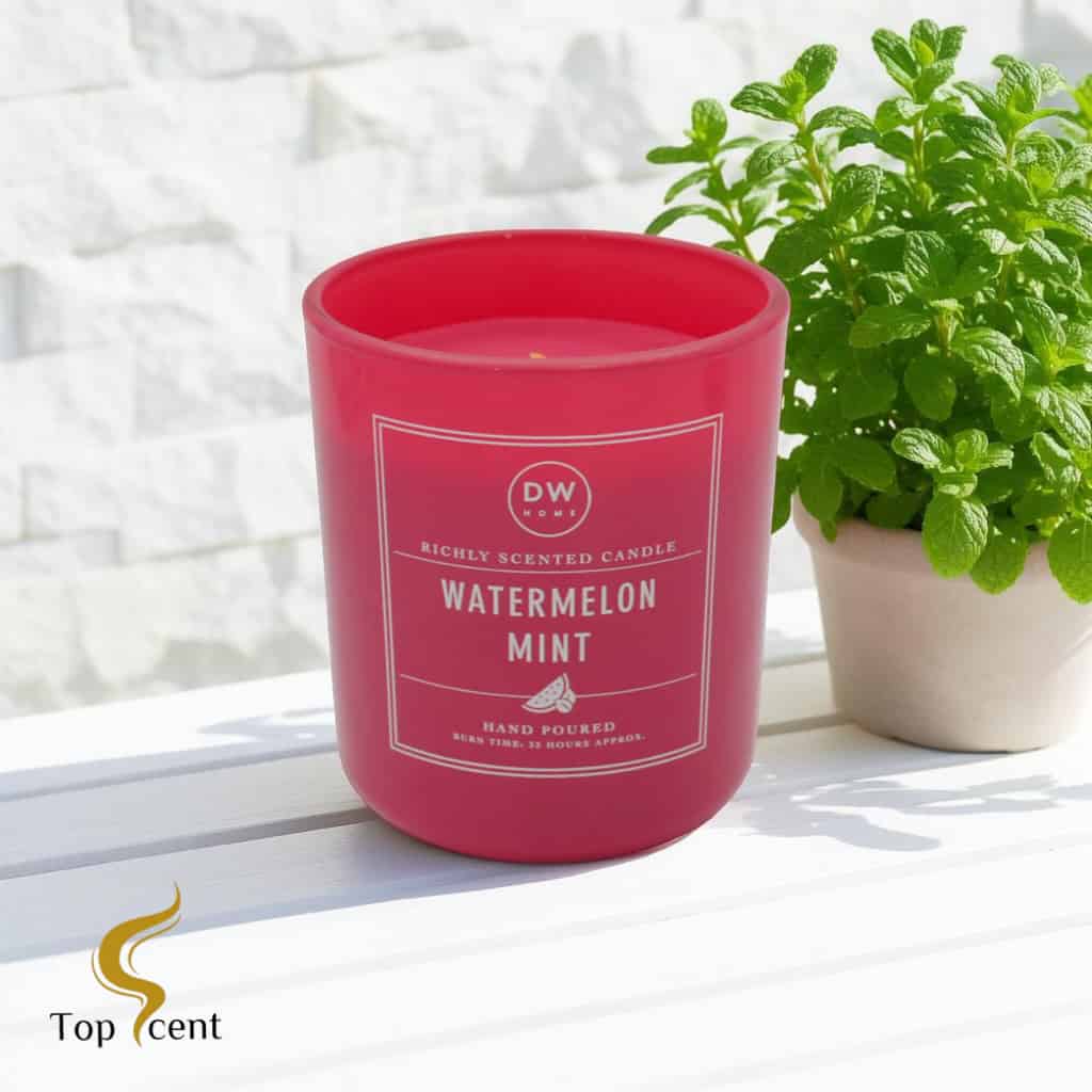 Watermelon Mint