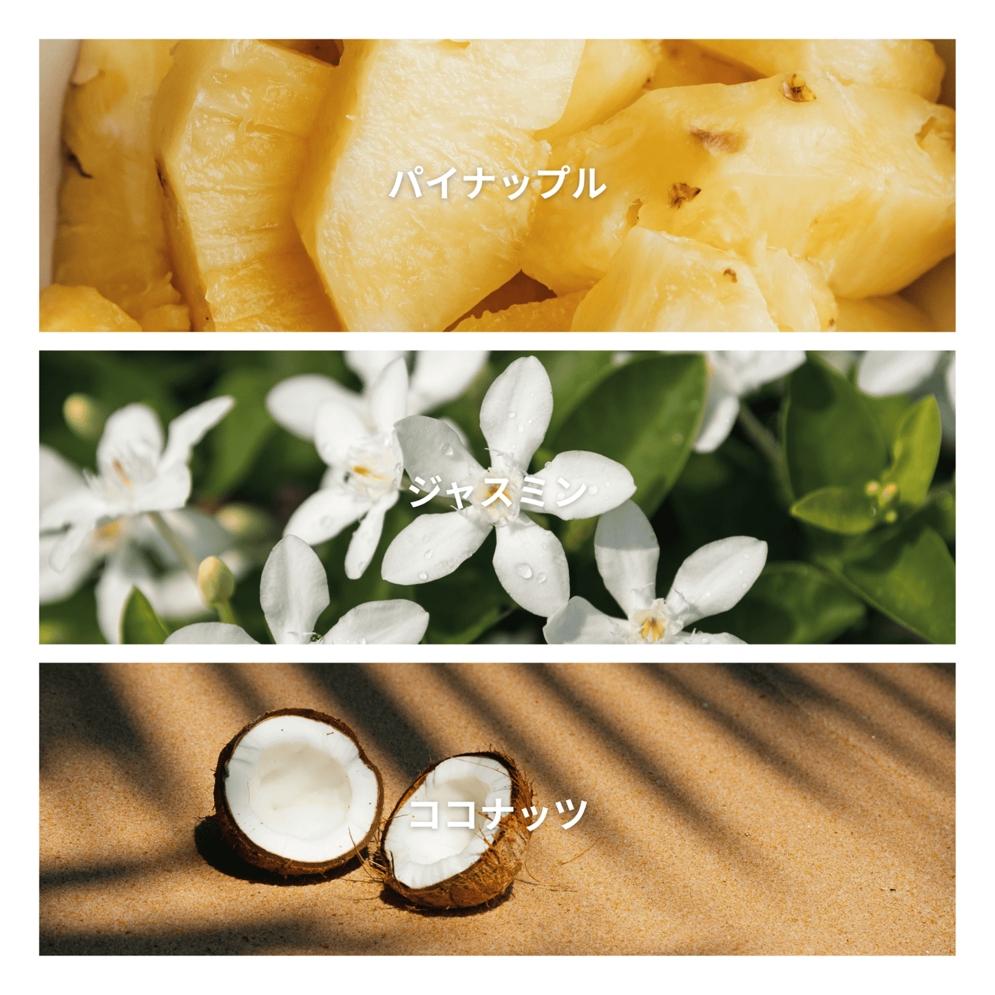 Seashore