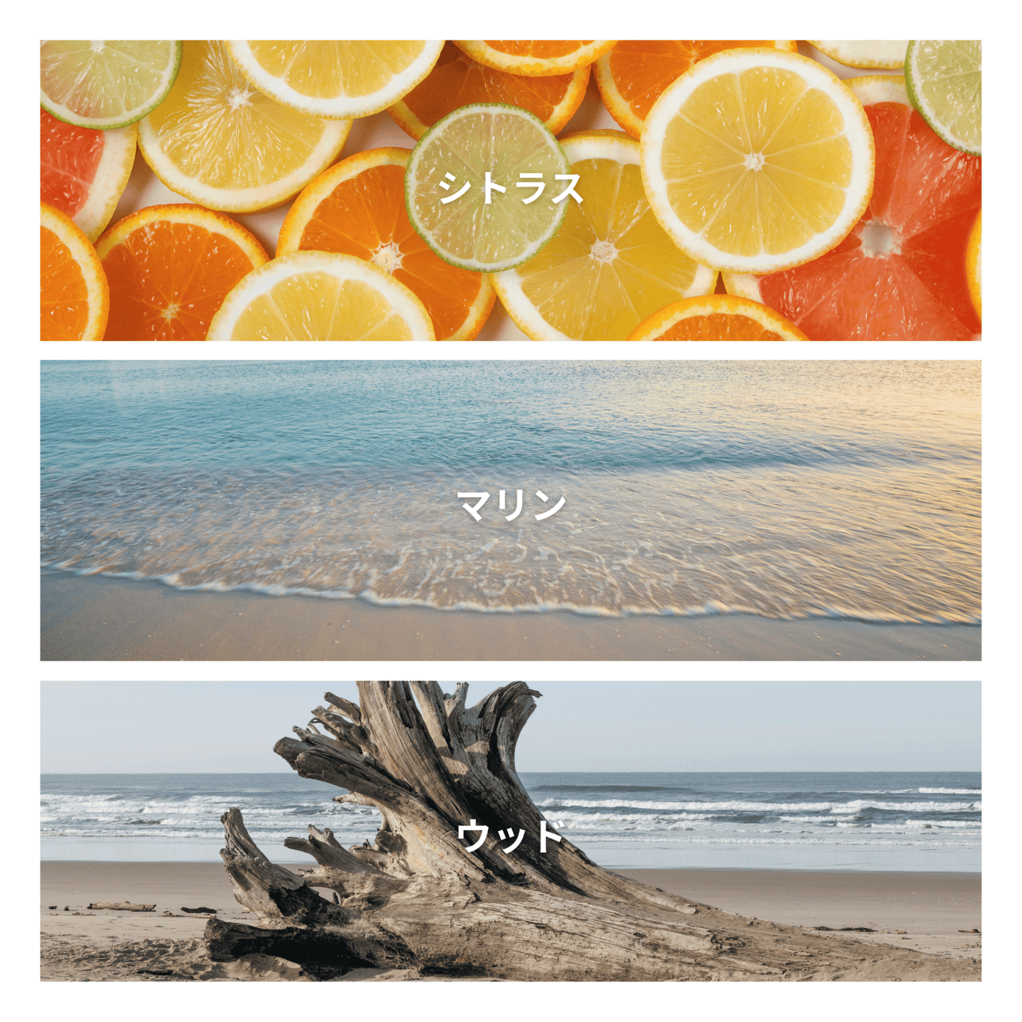 Driftwood & Musk