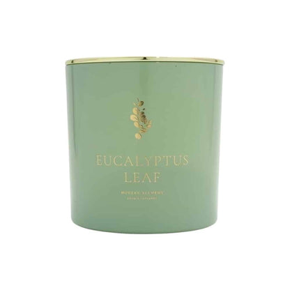 Eucalyptus Leaf