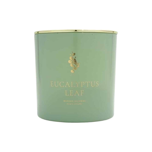 Eucalyptus Leaf