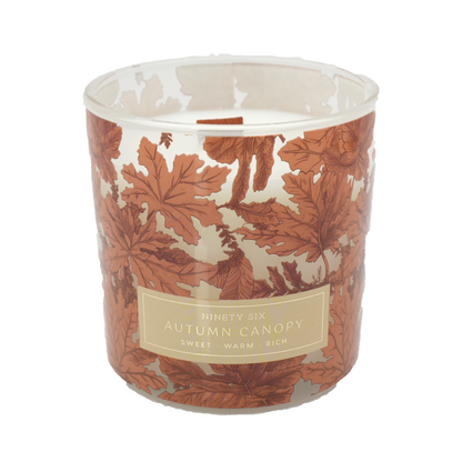 Autumn Canopy