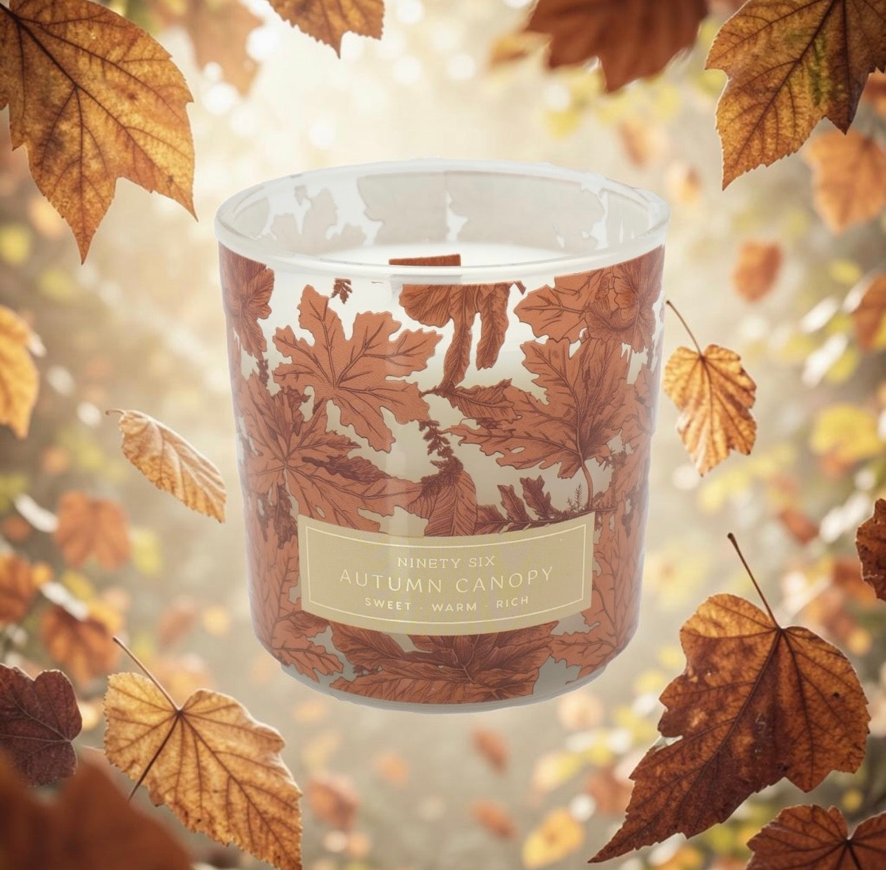 Autumn Canopy