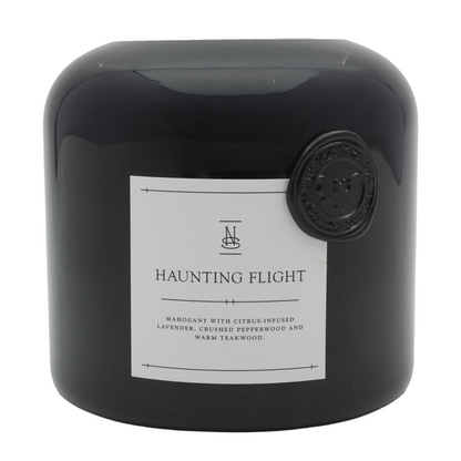 Haunting Flight