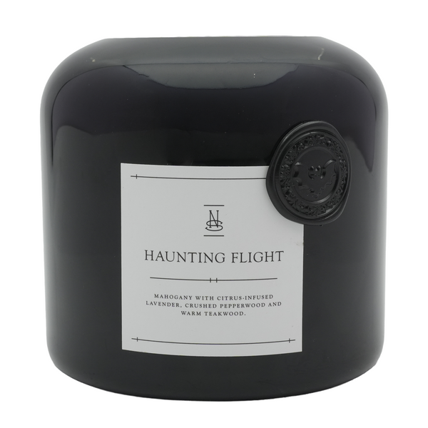 Haunting Flight